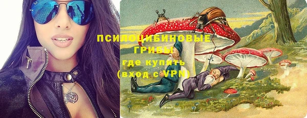 гидра Коряжма
