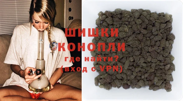 гидра Коряжма
