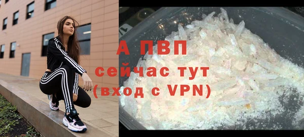 ГАЛЛЮЦИНОГЕННЫЕ ГРИБЫ Краснотурьинск