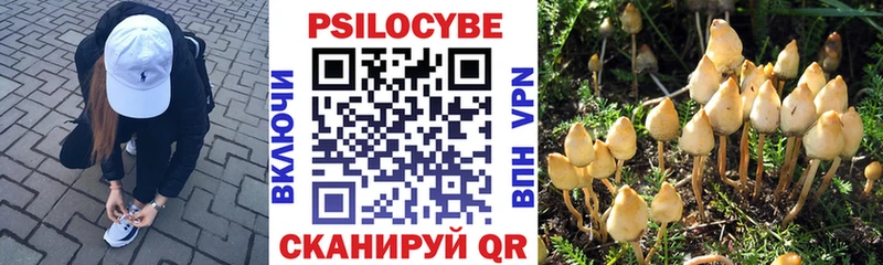 Купить  Берёзовский  Галлюциногенные грибы ЛСД 